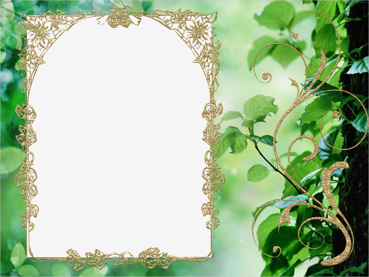 Photoshop Rahmen Vorlagen Schön Shop Dateien Shop Seite