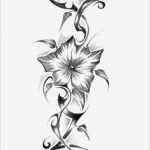 Photoshop Rahmen Vorlagen Wunderbar Fantastische Inspiration Wandbilder Selber Malen Vorlagen