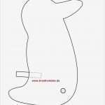 Pinguin Basteln Vorlage Best Of Watschel Pinguin