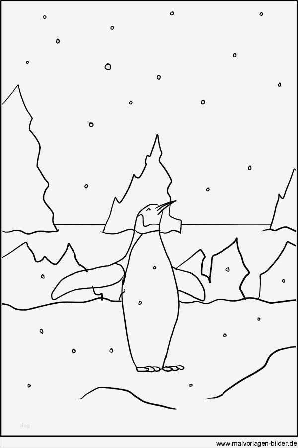 Pinguin Vorlage Zum Ausdrucken Angenehm Pinguin Als Gratis Malvorlage Ausmalbild Und Windowcolor