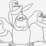 Pinguin Vorlage Zum Ausdrucken Angenehm Vorlagen Zum Ausdrucken Ausmalbilder Pinguin Malvorlagen 2