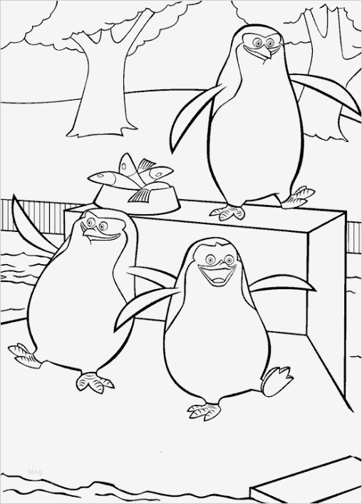 pinguin vorlage zum ausdrucken neu pin malvorlage pinguin auf dem schlitten abb on  vorlage ideen