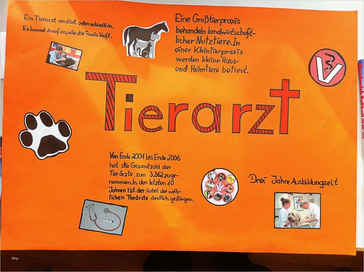 Plakat Gestalten Schule Vorlage Großartig Beste Wie Ein Plakat Gestalten Zeitgenössisch