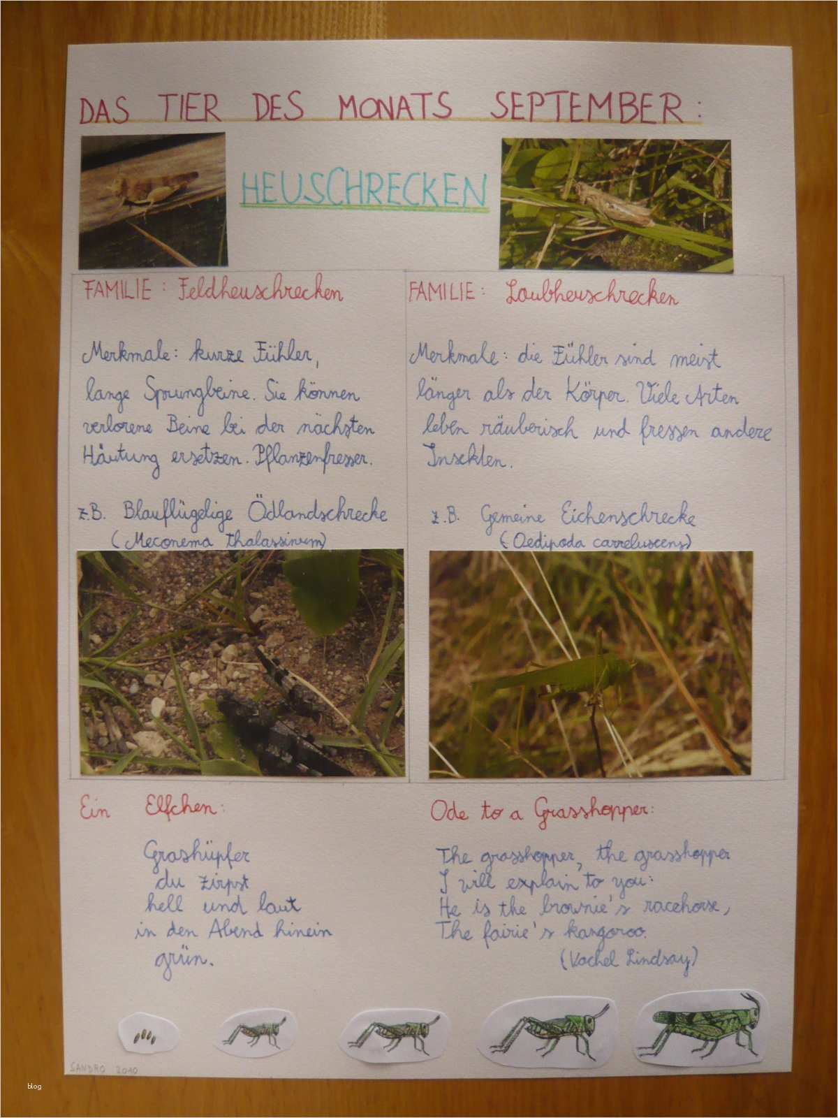 Plakat Gestalten Schule Vorlage Luxus Beste Wie Ein Plakat Gestalten Zeitgenössisch