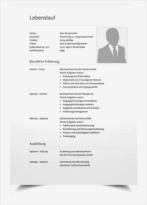 Planet Beruf Lebenslauf Vorlage Best Of Erfreut Stilvolle Lebenslauf Vorlage Doc Galerie Entry