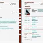 Planet Beruf Lebenslauf Vorlage Einzigartig Ungewöhnlich Verschiedene Berufsbezeichnungen Im