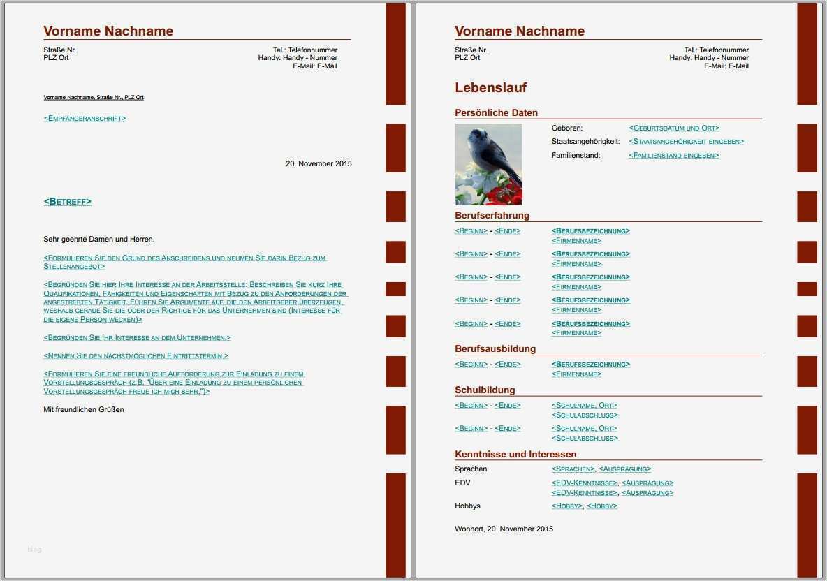 Planet Beruf Lebenslauf Vorlage Einzigartig Ungewöhnlich Verschiedene Berufsbezeichnungen Im