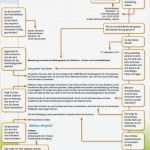 Planet Beruf Lebenslauf Vorlage Schönste Infos Zur Bewerbungsmappe Beruf