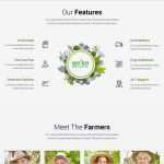 Powerpoint Karaoke Vorlagen Best Of Gemütlich Chem 7 Vorlage Bilder Entry Level Resume