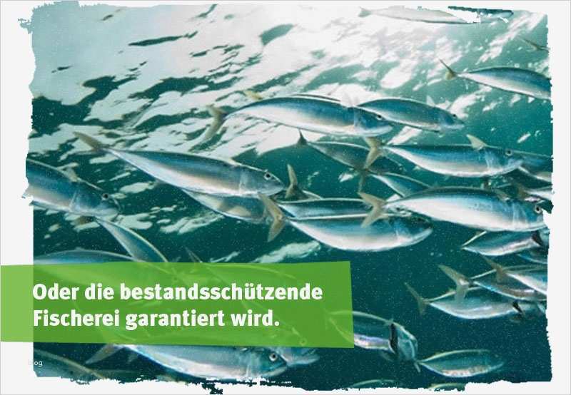 Powerpoint Vorlagen Nachhaltigkeit Gut Positive Slideshow über Verantwortung Des Handels