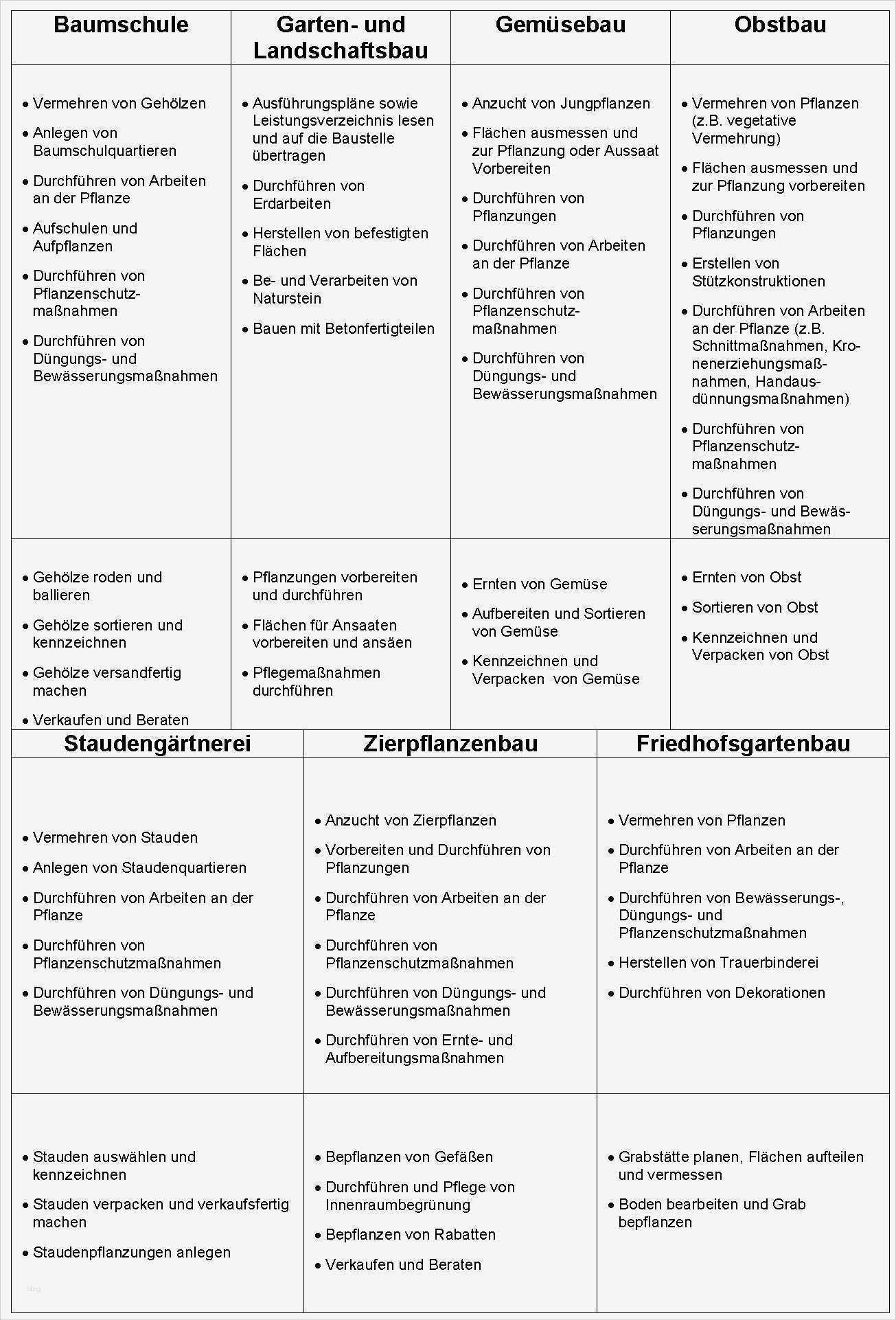 Praktikum Berichtsheft Vorlage Gut Tagesbericht Praktikum Vorlage Unglaubliche