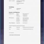 Praktikum Vorlage Süß 9 Lebenslauf Bewerbung Praktikum Vorlage