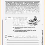 Praktikumsbericht Hotel Vorlage Best Of Fantastisch Bericht Schreiben Vorlage Beispiel Bilder