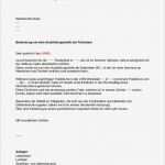 Praktikumsbericht Vorlage Pdf Erstaunlich Untermietvertrag Pdf Der Mustermann