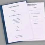 Praktikumsbericht Vorlage Pdf Gut Vordruck Praktikumsbericht