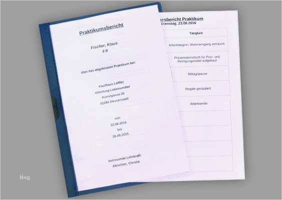 Praktikumsbericht Vorlage Pdf Gut Vordruck Praktikumsbericht