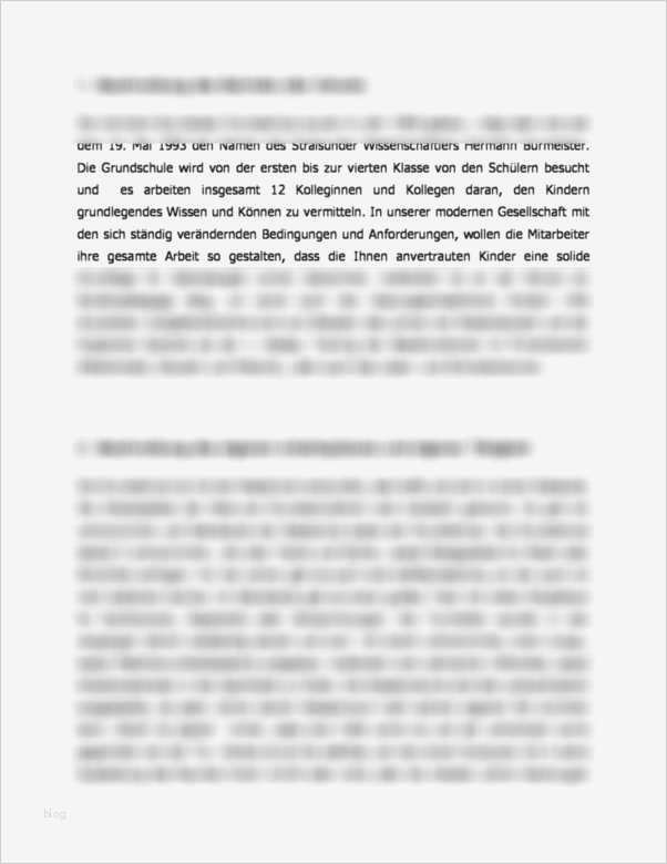 Praktikumsbericht Vorlage Schule 9 Klasse Beste Praktikumsbericht Lehren In Einer Grundschule
