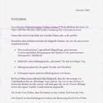 Praktikumsbeurteilung Vorlage Erstaunlich Tagesmutter Zeppelinheim