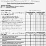 Praktikumsbeurteilung Vorlage Luxus Nett Vorlage Beurteilungsformular Galerie Entry Level