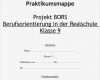 Praktikumsmappe Vorlage 9 Klasse Gut Praktikumsmappe Projekt Bors Berufsorientierung In Der