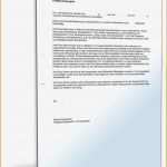 Praktikumszeugnis Vorlage Wunderbar 12 Praktikumszeugnis Vorlage