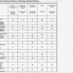 Praktikumszeugnis Vorlage Zum Ankreuzen Neu Praktikumszeugnis Vorlage Zum Ankreuzen – Vorlagen Kostenlos