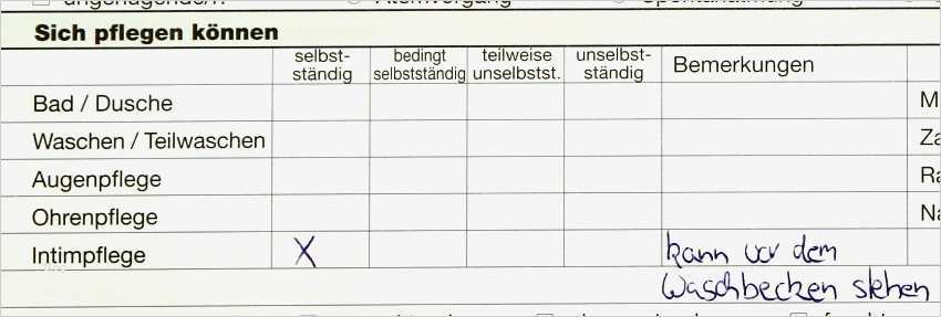 Praxisbericht Altenpflege Vorlage Erstaunlich Pqsg Das Altenpflegemagazin Im Internet Line