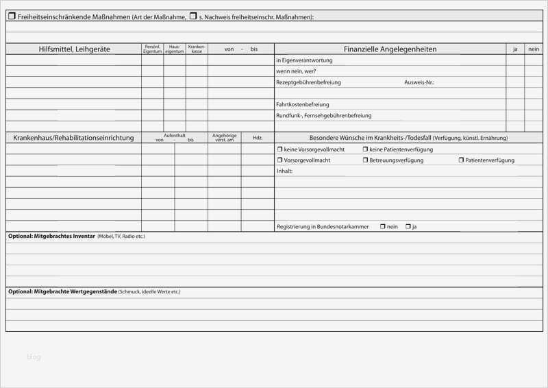 Praxisbericht Altenpflege Vorlage Süß 87 001 Stammblatt Stationär Plan2care Stationär Sis