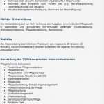 Praxisbericht Altenpflege Vorlage Wunderbar Fachkraft Für Leitungsaufgaben In Der Pflege Staatlich