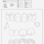 Preisliste Nagelstudio Vorlage Best Of Wunderbar Servicepreislistenvorlage Bilder Ideen