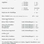 Preisliste Nagelstudio Vorlage Genial Preisliste