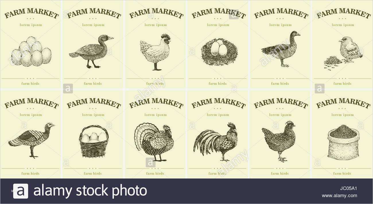 Preisschilder Vorlagen Schön Fein Lebensmittel Etiketten Vorlage Galerie Beispiel