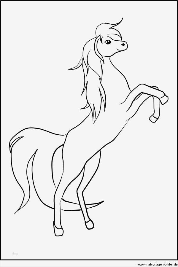 Prickeln Vorlagen Zum Ausdrucken Beste Pferd Vorlage Zum Ausdrucken