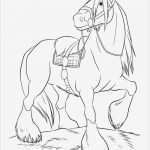 Prickeln Vorlagen Zum Ausdrucken Hübsch Ausmalbilder Pferde 25