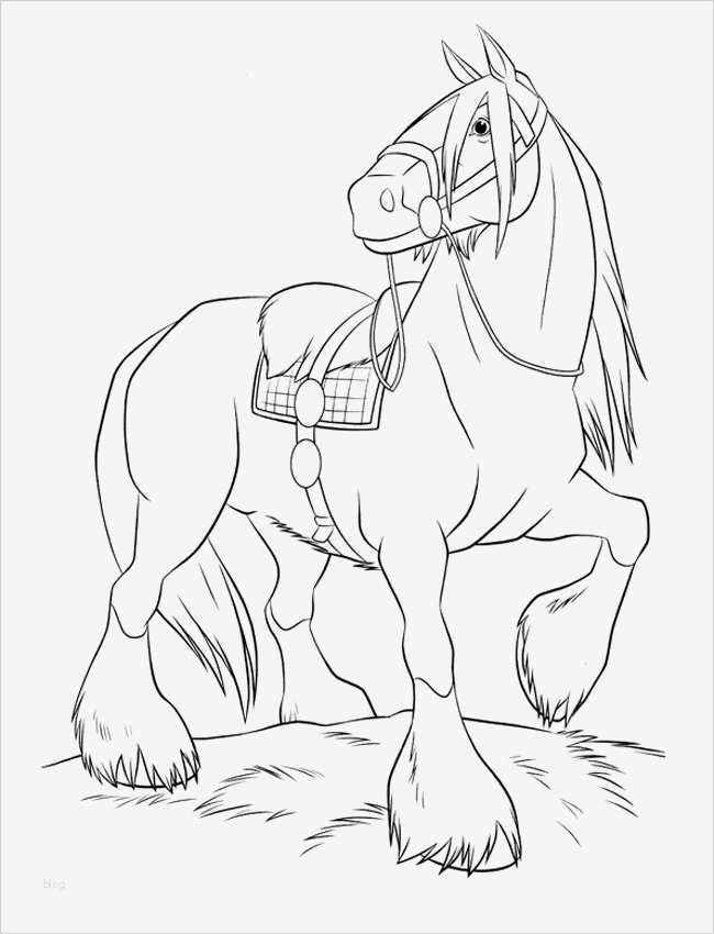Prickeln Vorlagen Zum Ausdrucken Hübsch Ausmalbilder Pferde 25