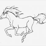 Prickeln Vorlagen Zum Ausdrucken Wunderbar Ausmalbilder Von Pferde 25