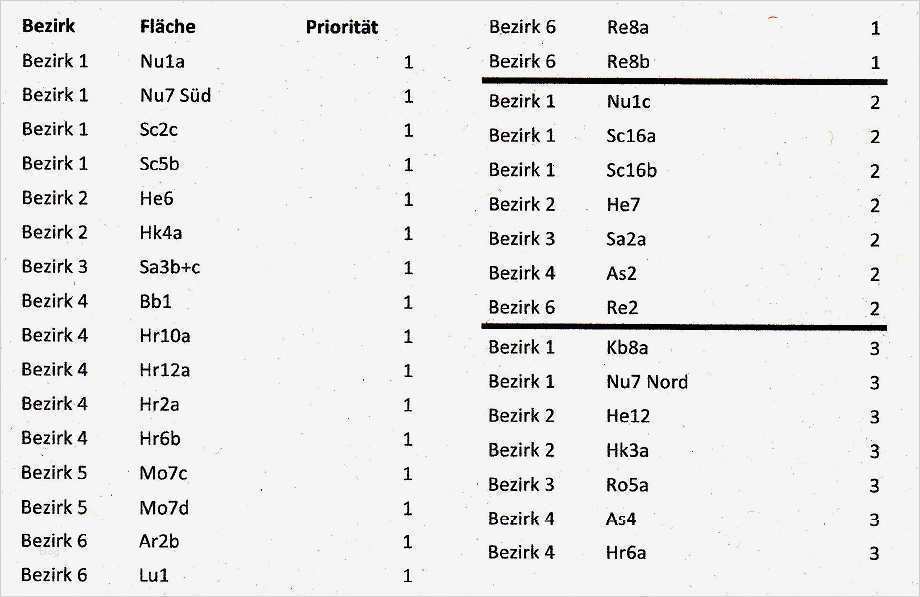 Prioritätenliste Vorlage Neu Groß Prioritätenliste Vorlage Fotos Beispiel