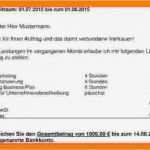 Privat Rechnung Schreiben Vorlage Bewundernswert 7 Privatrechnung Muster