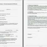 Privatrechnung Ohne Mwst Vorlage Wunderbar Privatrechnung Ausstellen Muster Privatrechnung Kurzes