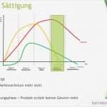 Produktlebenszyklus Excel Vorlage Inspiration Großzügig Produktlebenszyklus Vorlage Galerie Beispiel