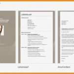 Professionelle Bewerbung Vorlage Schönste 11 Professionelle Bewerbung