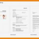 Professionelle Bewerbung Vorlage Wunderbar 8 Professionelle Bewerbungsschreiben