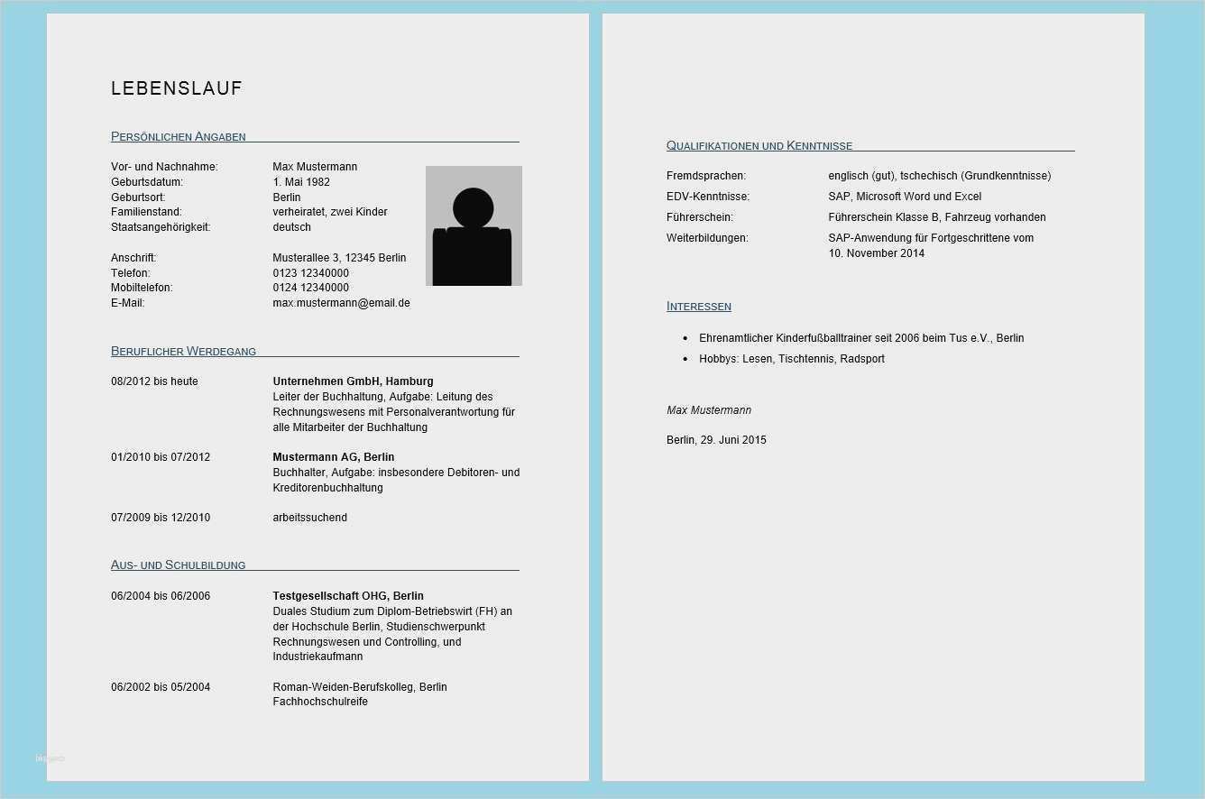 Professioneller Lebenslauf Vorlage Beste Niedlich Einzigartige Lebenslauf Beispiele Zeitgenössisch