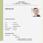 Professioneller Lebenslauf Vorlage Cool Groß Beispiel Für Eine Professionelle Lebenslaufvorlage