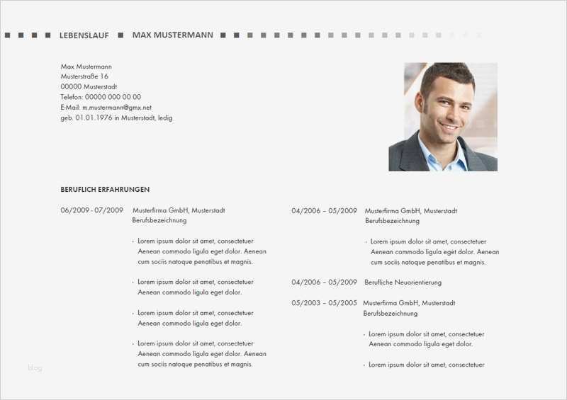 Professioneller Lebenslauf Vorlage Inspiration Professioneller Lebenslauf Muster Lebenslauf Beispiel