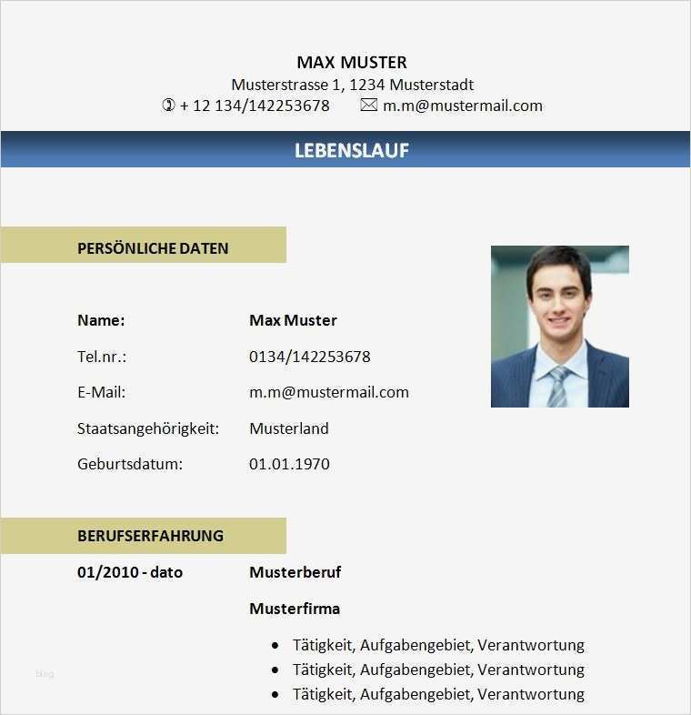 Professioneller Lebenslauf Vorlage Kostenlos Beste Lebenslauf Vorlage Zum Download