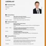 Professioneller Lebenslauf Vorlage Kostenlos Bewundernswert Niedlich Professionell Es fortsetzen Bilder Ideen
