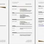 Professioneller Lebenslauf Vorlage Kostenlos Großartig Lebenslauf Vorlage Word 2010 Kostenlos