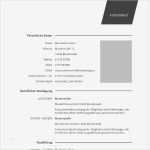 Professioneller Lebenslauf Vorlage Neu 52 Best Images About Lebenslauf Muster &amp; Vorlagen On Pinterest