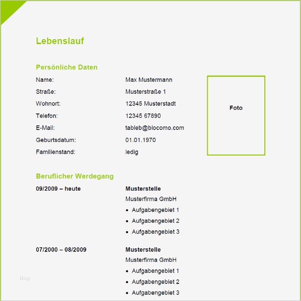Professioneller Lebenslauf Vorlage Word Beste Vorlage 35 Tabellarischer Lebenslauf